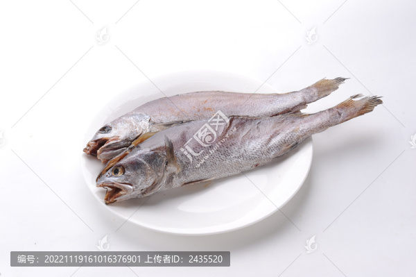 鮸魚