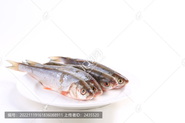 華子魚