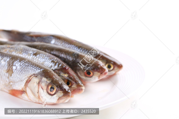 華子魚