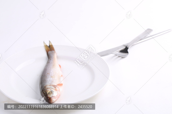 華子魚