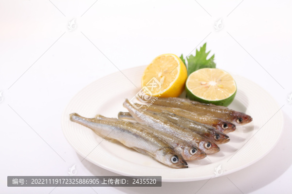 多春魚