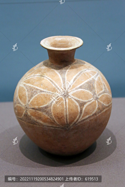 花葉紋彩陶壺