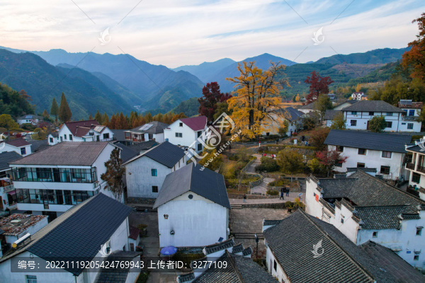 臨安指南村秋色紅楓