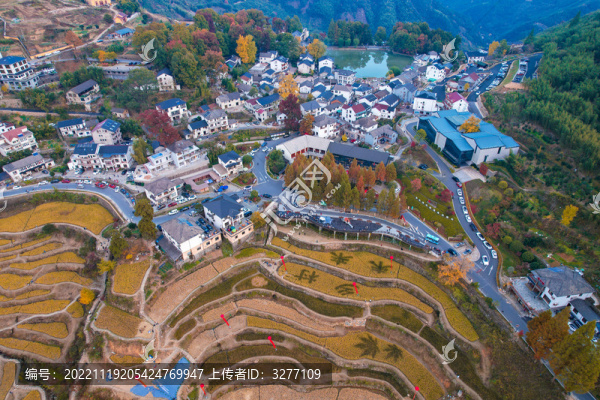 臨安指南村秋色紅楓