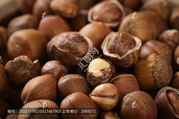 榛子