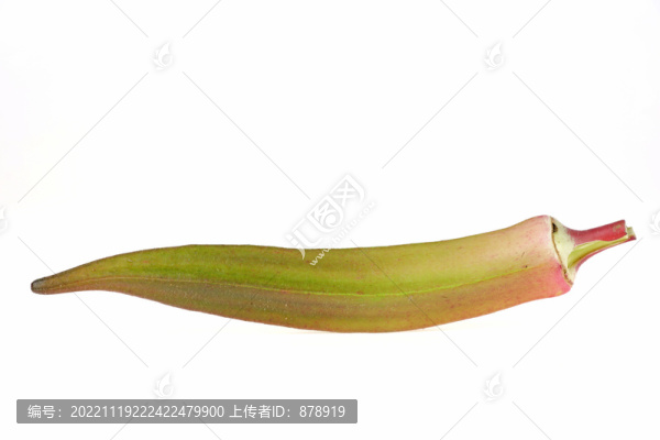 秋葵