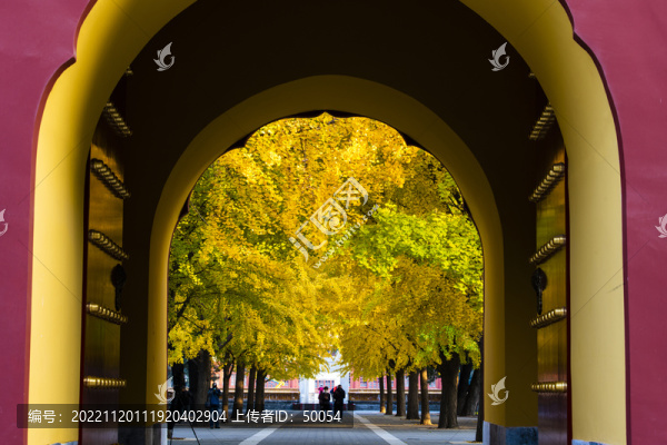 北京中山公園秋色
