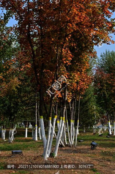 南溪濕地公園