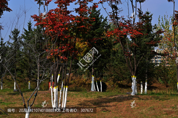南溪濕地公園
