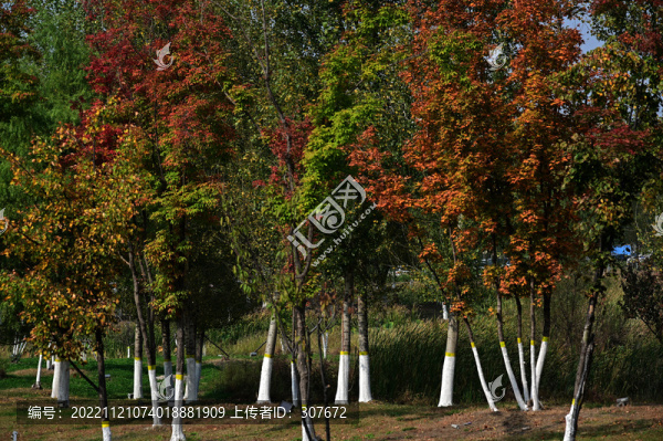 南溪濕地公園