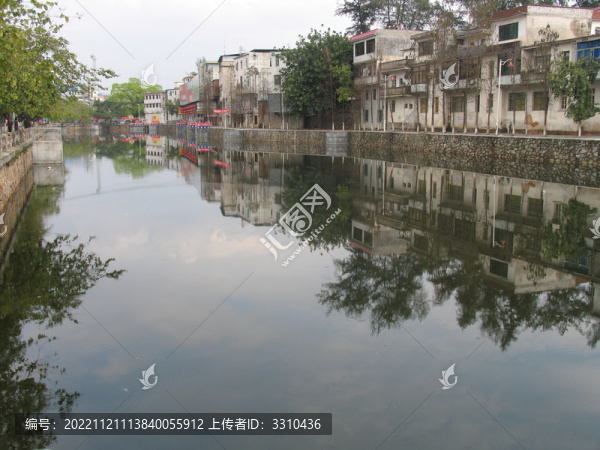 鱷湖塘水