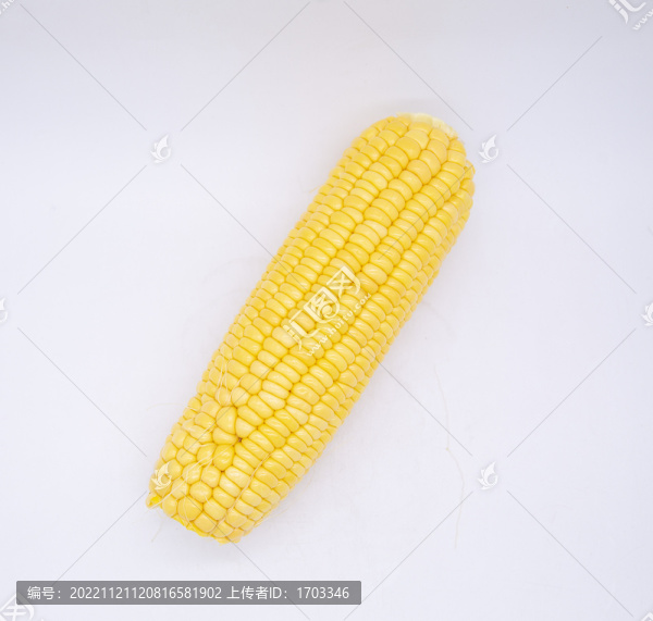 玉米