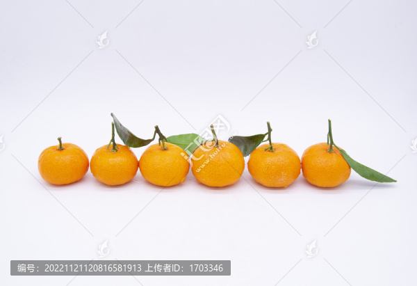 砂糖橘