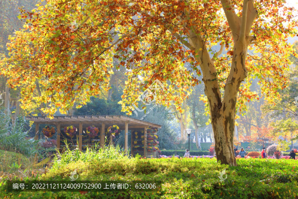 武漢解放公園