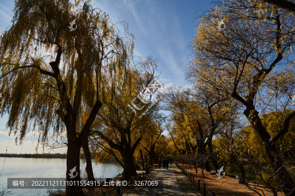 北京市頤和園秋色