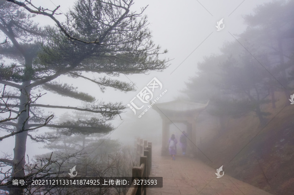 霧中黃山一角