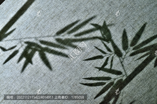 竹影