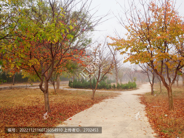 公園步道