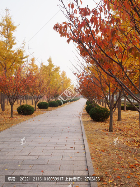 公園步道