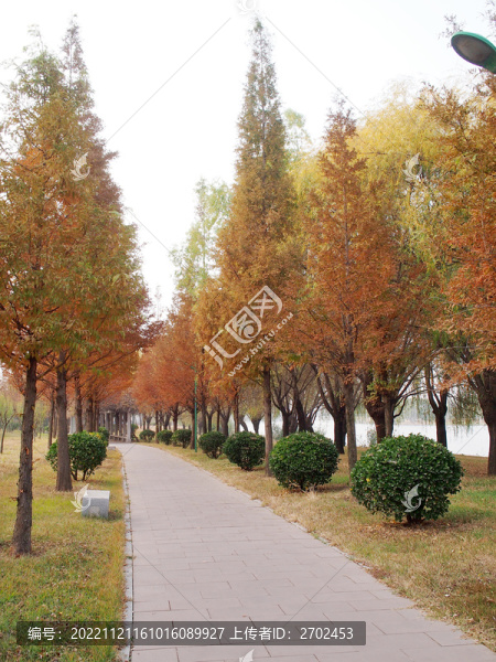 公園步道