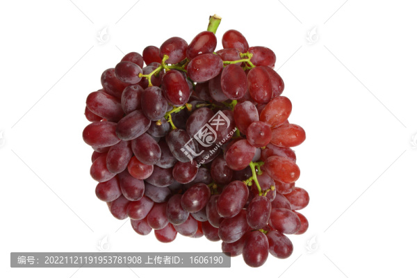 紅提子