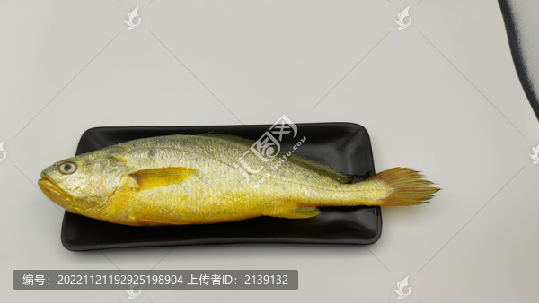 黃花魚