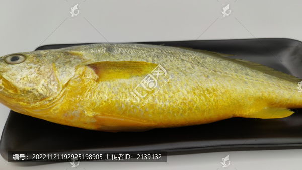黃花魚