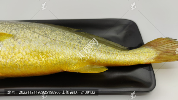 黃花魚(yú)