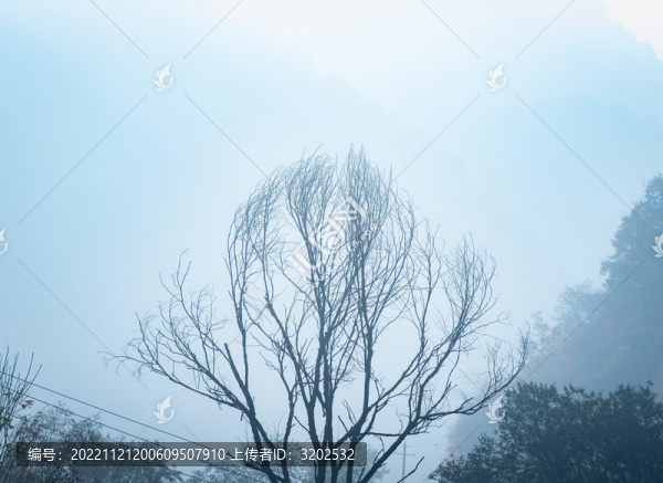 嘉午臺山腳風景