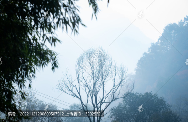 嘉午臺山腳風景