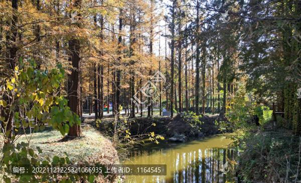 魯南國家森林公園