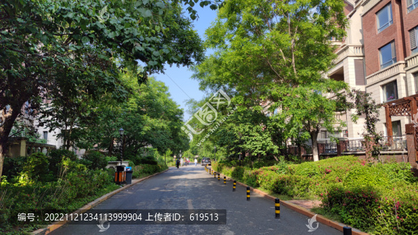 夏天綠樹成蔭的居民小區(qū)