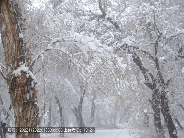 下雪