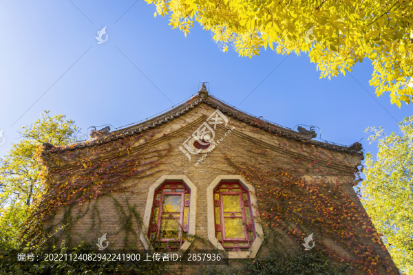 秋天黃葉與北京大學(xué)靜園建筑