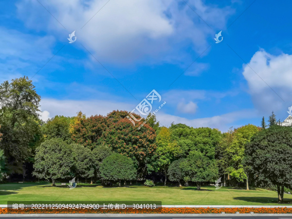 花草樹木藍(lán)天白云美景