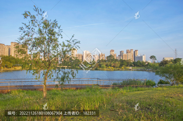 漳州西院湖公園湖邊風(fēng)光