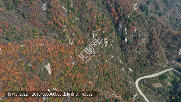 航拍秦嶺山脈秋景秦楚古道