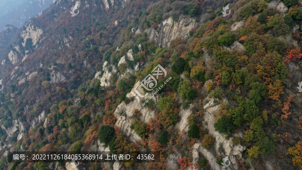 航拍秦嶺山脈秋景秦楚古道
