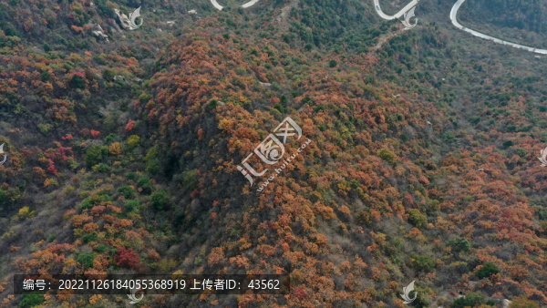 航拍秦嶺山脈秋景秦楚古道