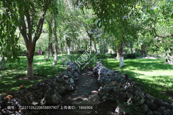 烏魯木齊人民公園夏季景色