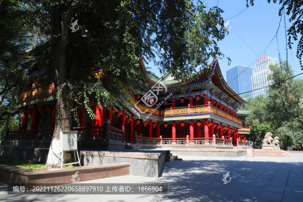 烏魯木齊人民公園夏季景色