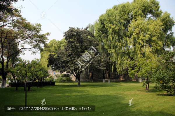 北京明城墻遺址公園的綠化