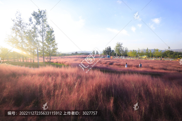 唯美秋天風(fēng)景