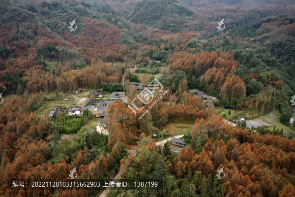 崇州琉璃壩彩林公路最美鄉(xiāng)村