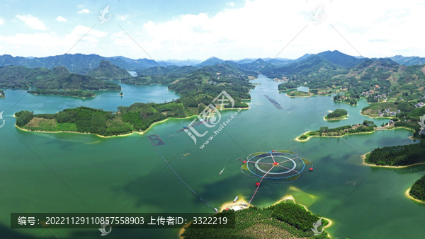 大化六谷觀賞魚基地