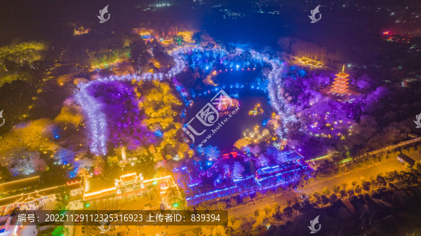 武漢東湖櫻花園夜景