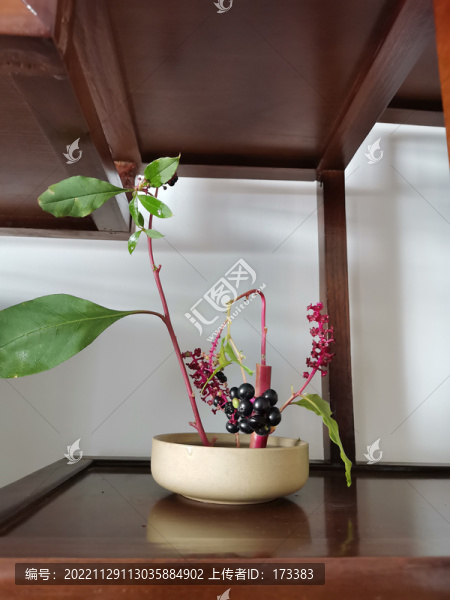 插花001