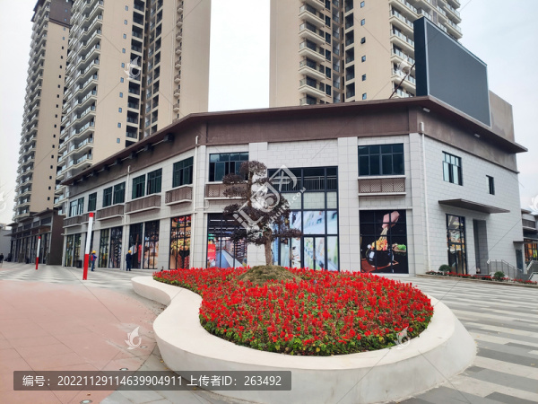 造型花臺高樓建筑商鋪