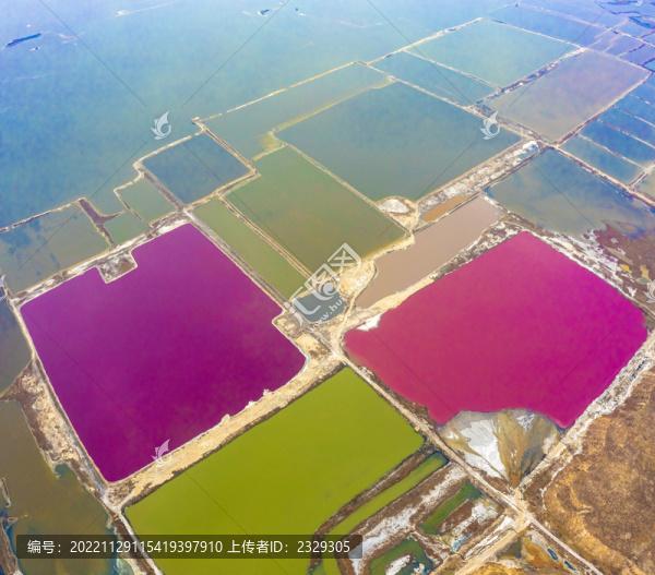 山西運城冬日鹽湖變身玫瑰湖