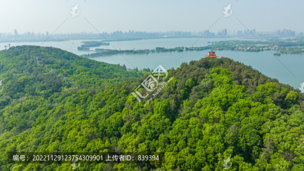 武漢東湖磨山